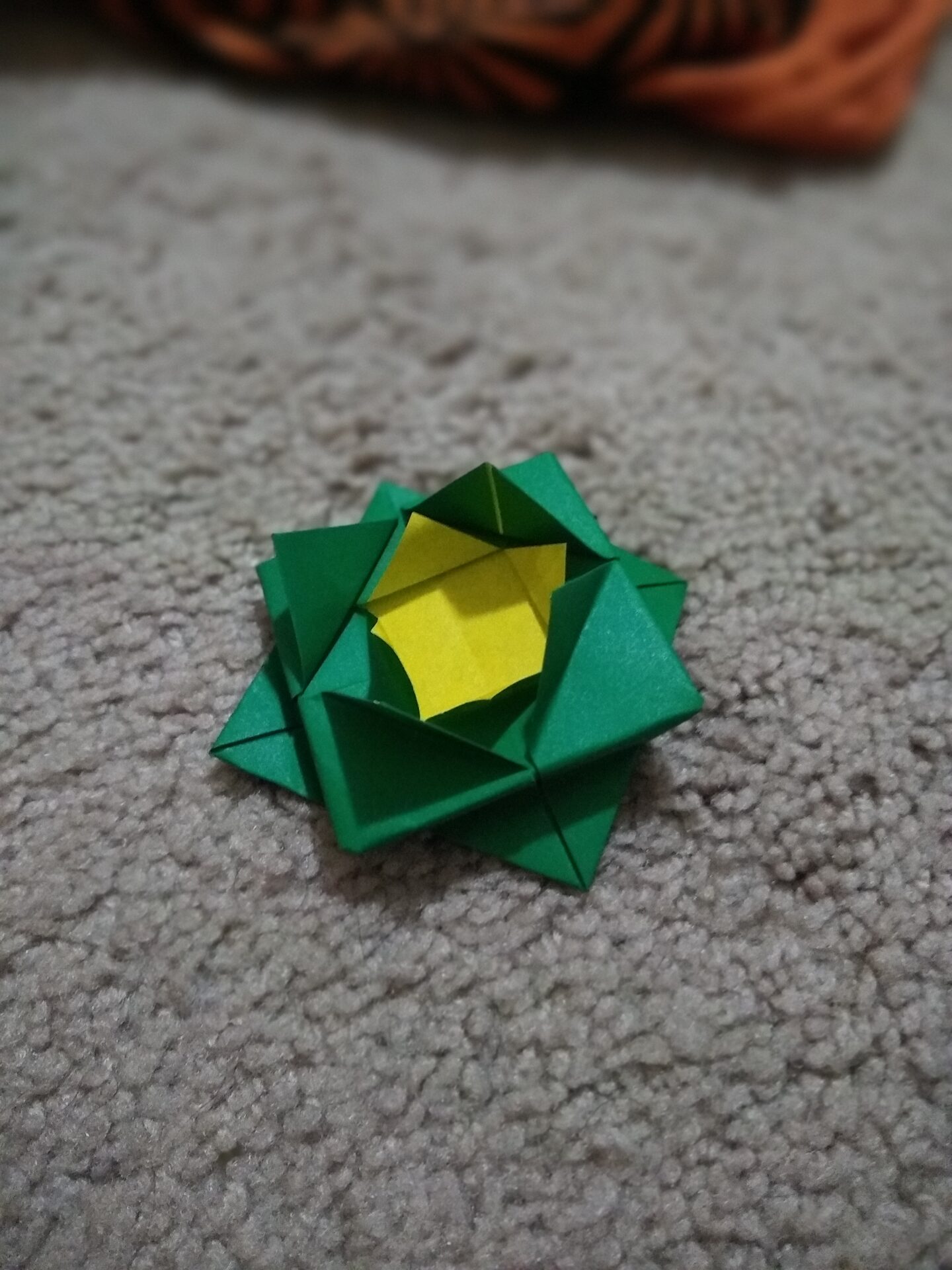 IMG_20201218_073919069_PORTRAIT