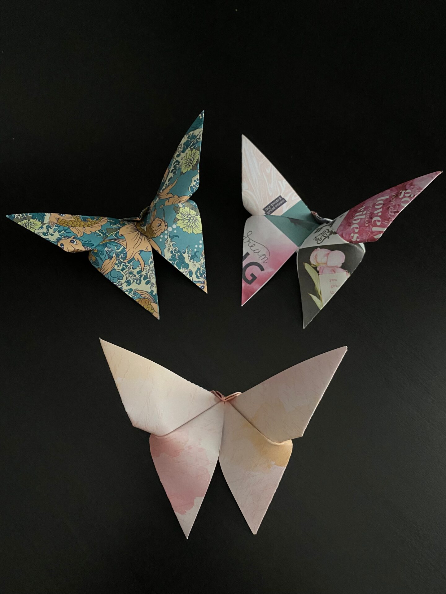 origami butterflies from Portland State University